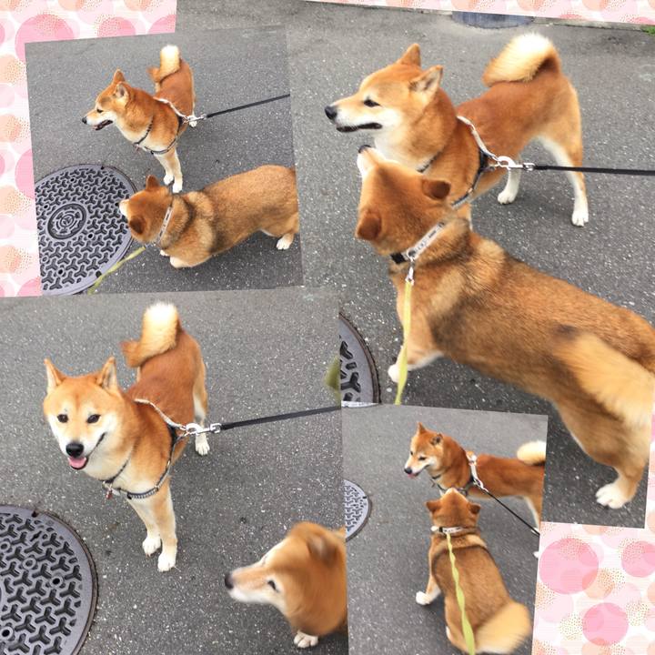 858fa853 43b4 4b90 85ad 9d4d51214cf8 1593913837041