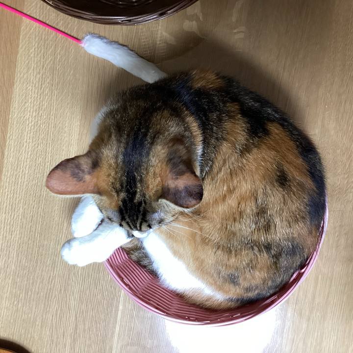 858fb750 88f1 429d 908e 7a010cb67e94 1659438857418