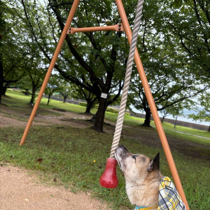 858fd850 5504 40e5 ab9f a959c872d32b 1754826683688