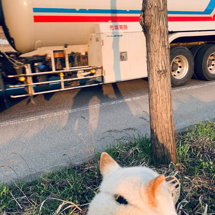 858ffbba a347 4c19 ac1d 325c99bc27ef 1650404270803