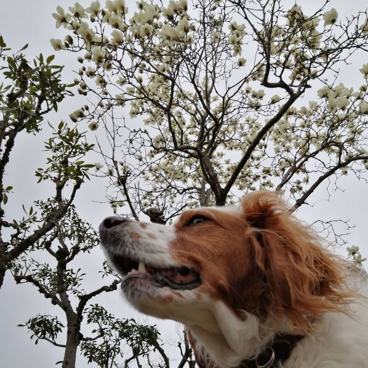 85901fa5 9f0f 453a bd8b 93f2db58a246 1583830227010