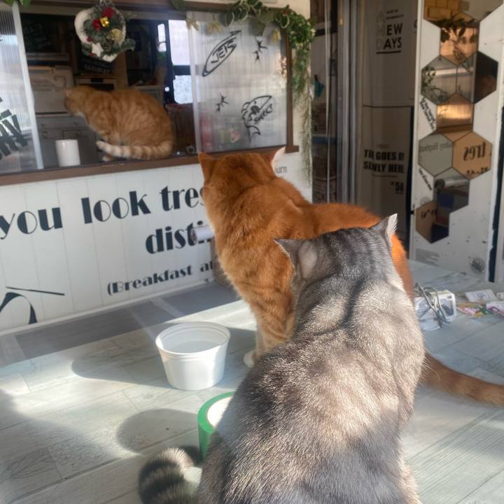 8590378f 40a1 4ef6 82f6 7527ef131bbb 1640274491757