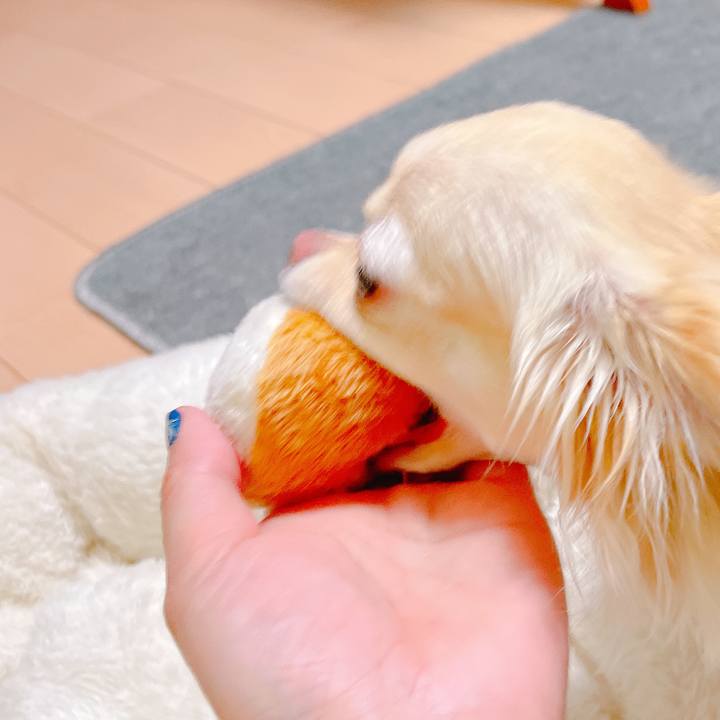 859077e3 07c3 48d8 bd4b ccc6c80c67b9 1649929351225