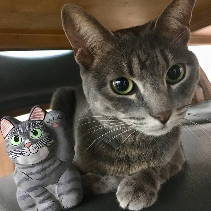 85907d51 36af 49eb 86f7 c5d5036a7f4d 1642600356725