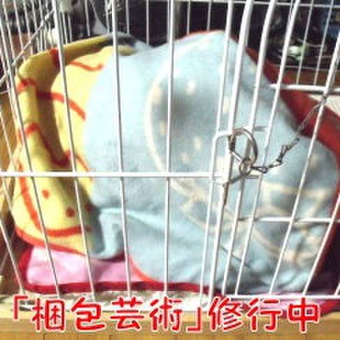 859082df ee6d 48d3 ad6c 730e6bb1ff45 1699919260639