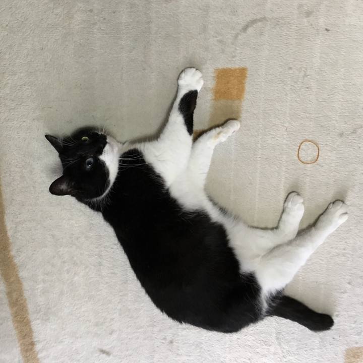 85908671 b112 4976 97ec b3a4b559e881 1526215859849