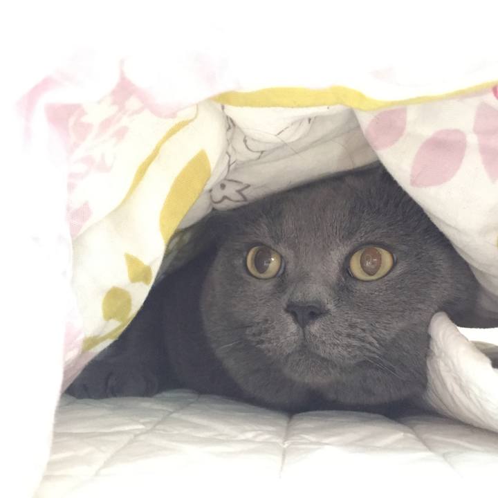 8590b47c 4a3d 4824 a4aa 033e99e0befe 1532474160179