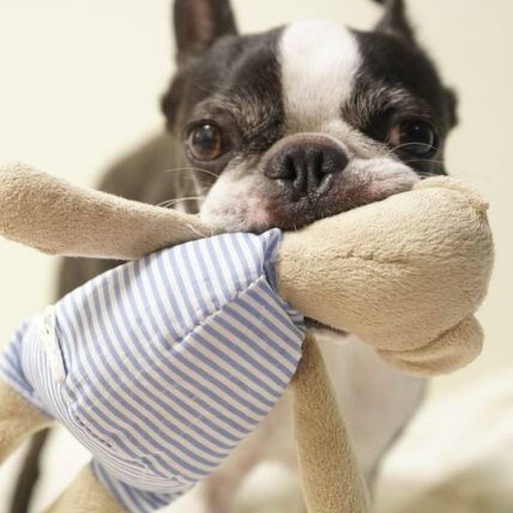 8590c12d 34d4 43ee 9d8f 9de1d60e102c 1530450341944