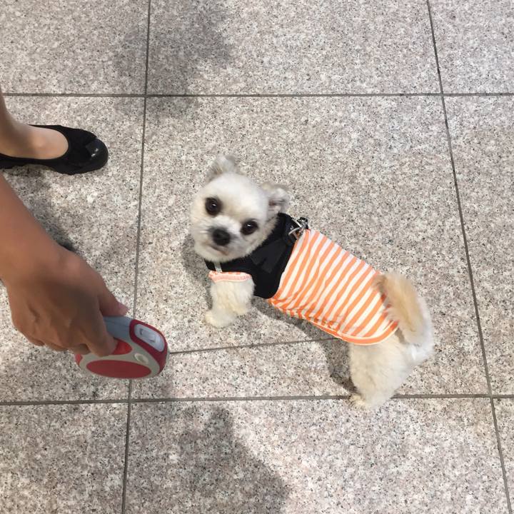 8590e059 ba0e 467f 856d ff23c76dc855 1529060629513