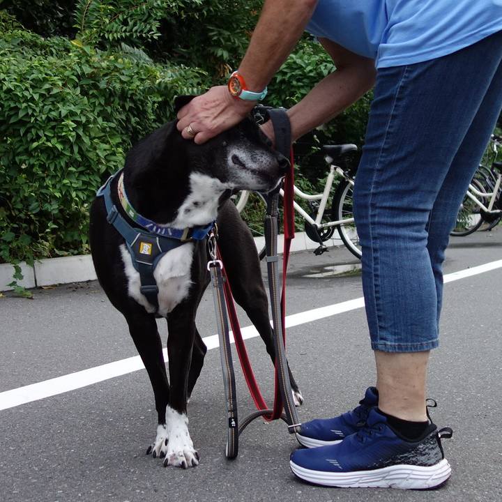 8590ea60 fcaf 4c8e 8b79 24fbb8ddaca6 1727052469125