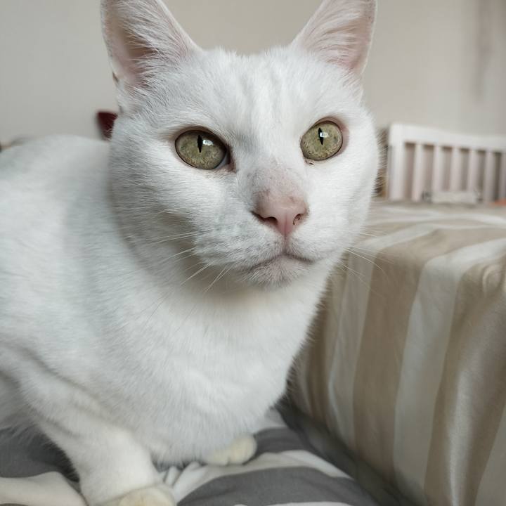 85910f39 ff1e 4f07 b15a 094595a3359b 1774069932559