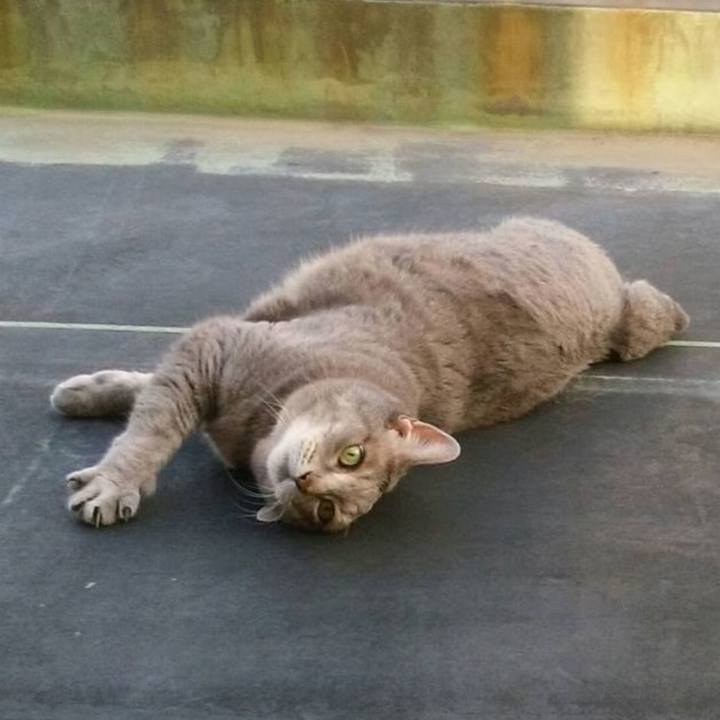 85911eab 6081 4207 b37d 34504ce75acf 1763281921469