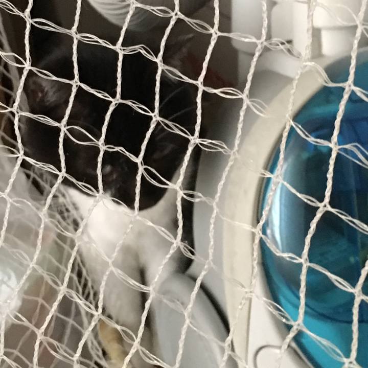 85912e11 ef5b 4817 a335 3ffad4bbc5c2 1520324733769