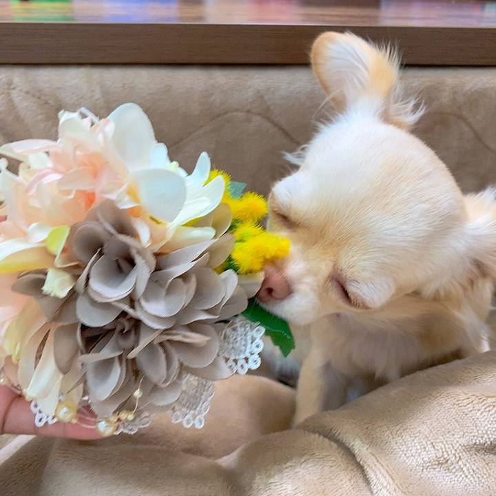 85913174 fea3 4a5a a14f 40518bd26723 1613787969782