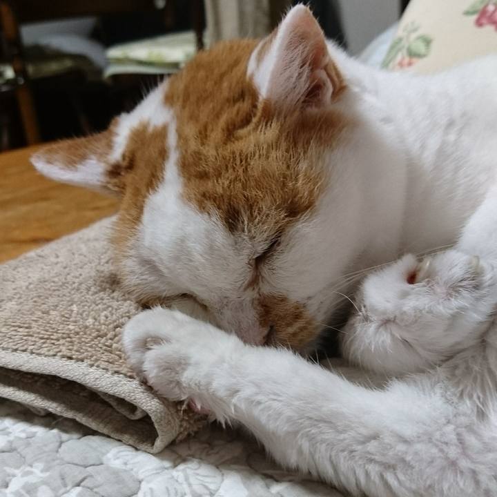 85913b3a df49 42a2 8998 7c923a9d21f3 1566470767197