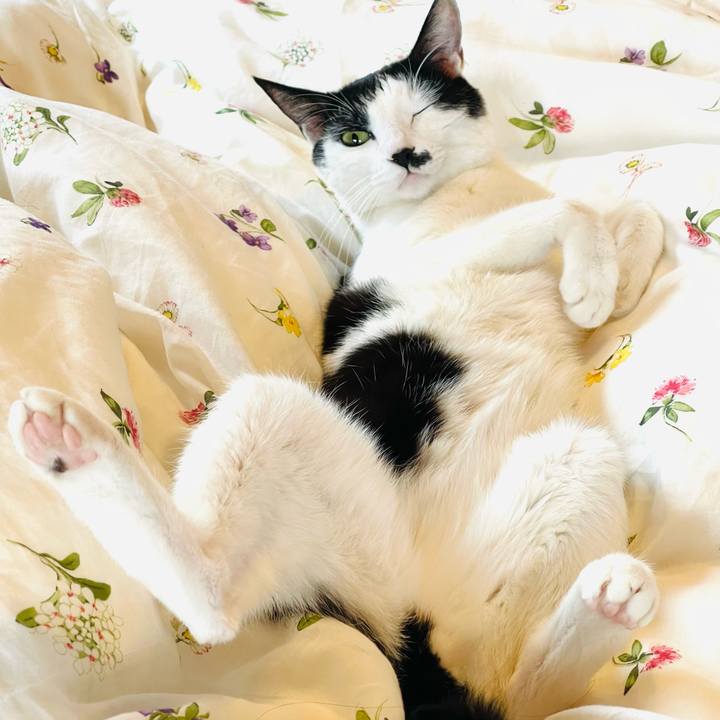 8591449d c712 44cf 955c df7bfc8964a3 1638881854384