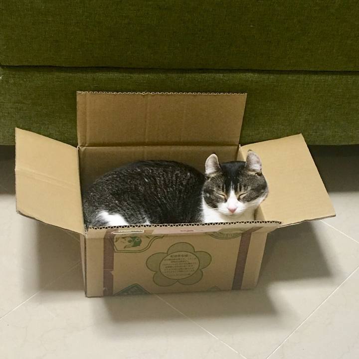 85916998 91d7 4115 9113 66f7fa4700ef 1525702144362