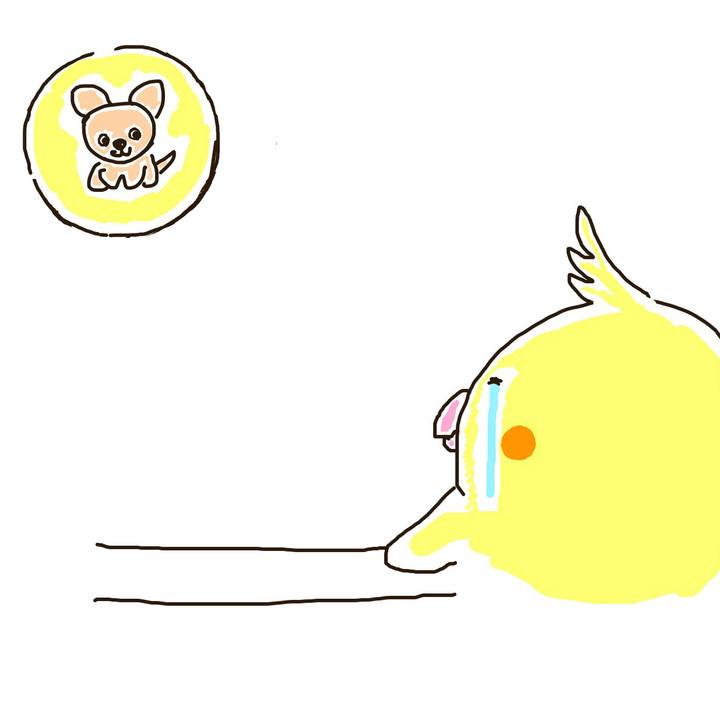 85917267 060c 4236 9356 dfc52fd9df0e 1623576272563