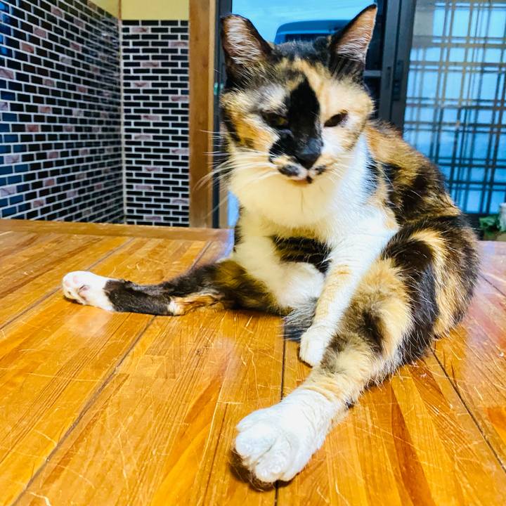 859189dd 0128 48f0 9518 fbf8c176b519 1685277813719