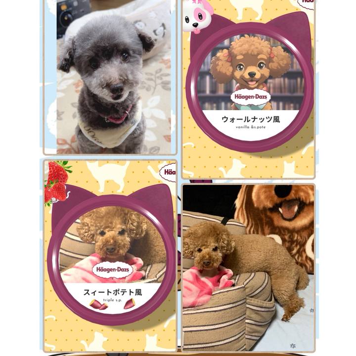 85918d3b 9585 485b a691 ce7760492723 1708905713415