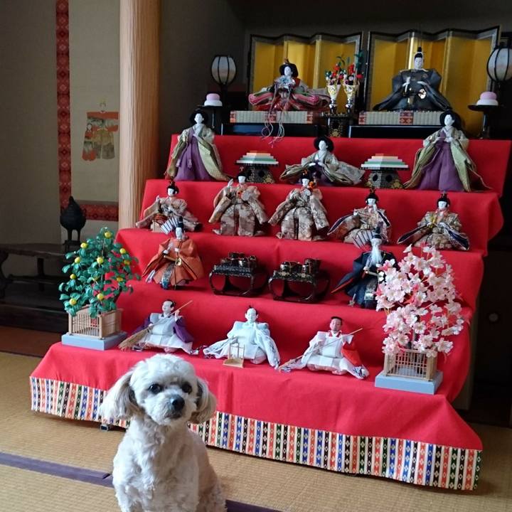 8591b1ec 4992 401c 937f 2ba41f8b0168 1584844790262