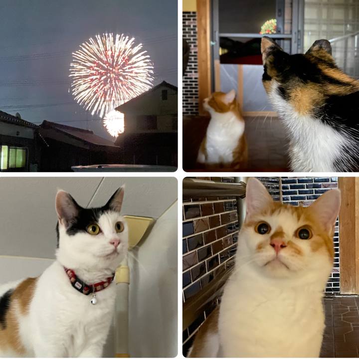 8591b7b8 6ba8 46bd 9c3a 10ac2b3c70c9 1658618009282