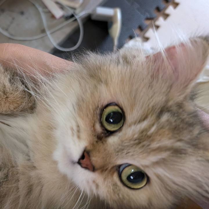 8591cbaf be70 4a8c 97fe 47db8bc96226 1718946396278