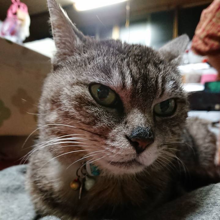 859203b2 6a15 468c a1ad e75795f37c97 1559732340782