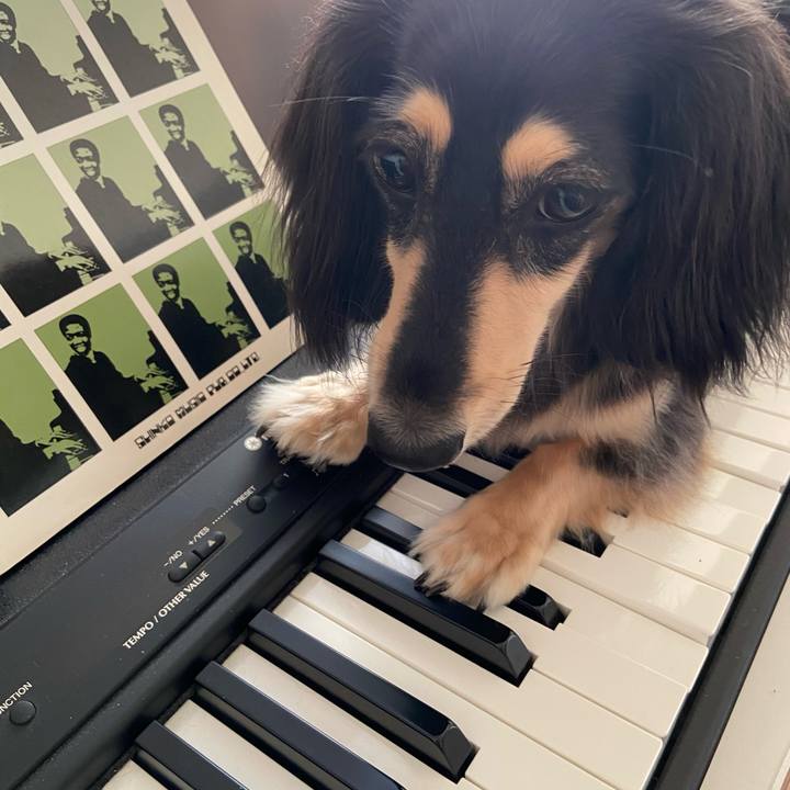 859204cf 207d 4dd7 aa9a fd547c9f5aae 1755299992582