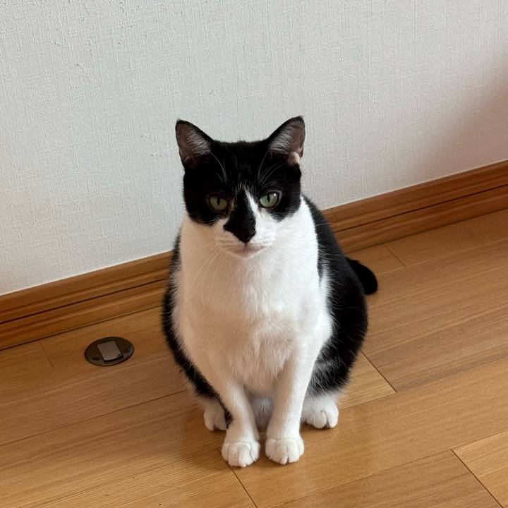 85921dc0 bfde 4a74 9a61 46ac418fc491 1756601217002