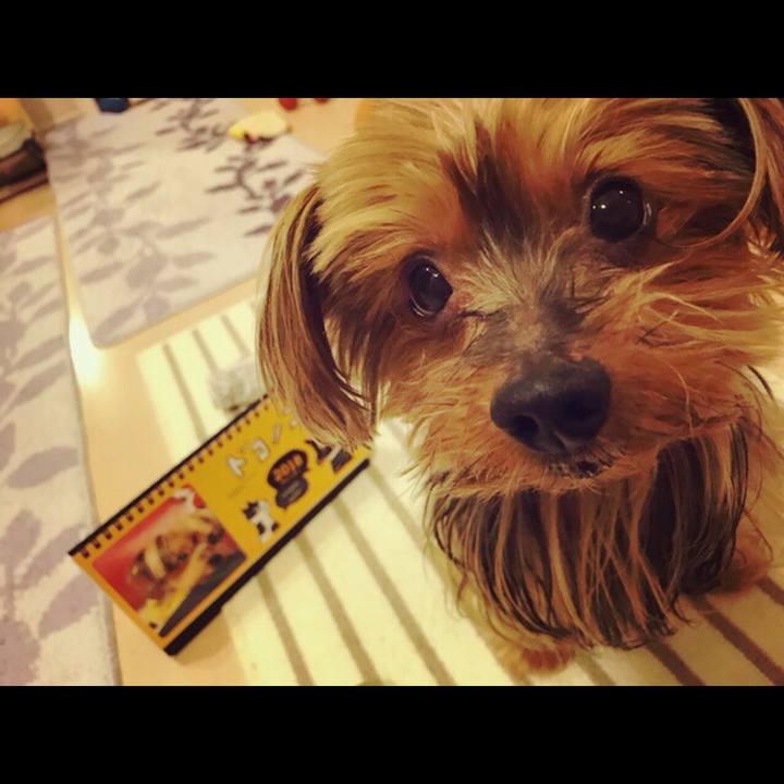 859229cc a2fd 4eef 9839 07bcb65aeaca 1510910962385