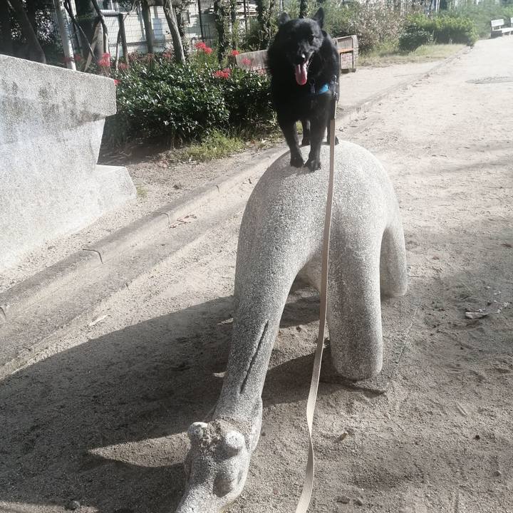 85922c62 832f 4a11 a697 4ae6751f76c3 1632355479132