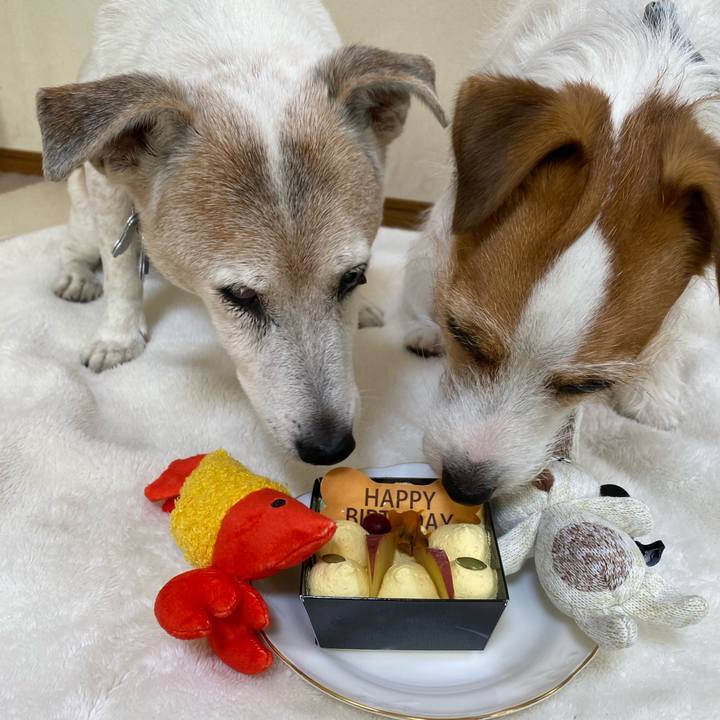 859258e3 4b11 4958 9268 959dc21e4a26 1698535135628