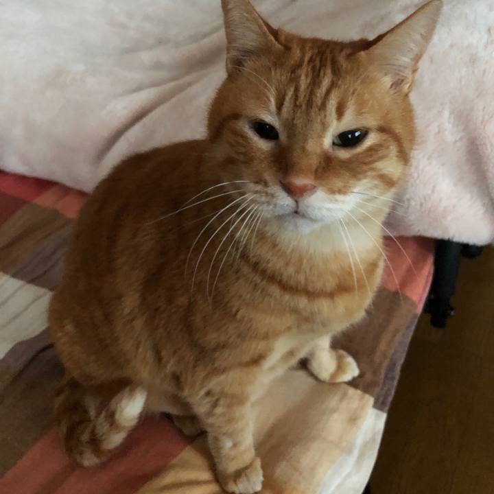 85925fc0 f23f 45ea a179 c592008b4230 1712607835135