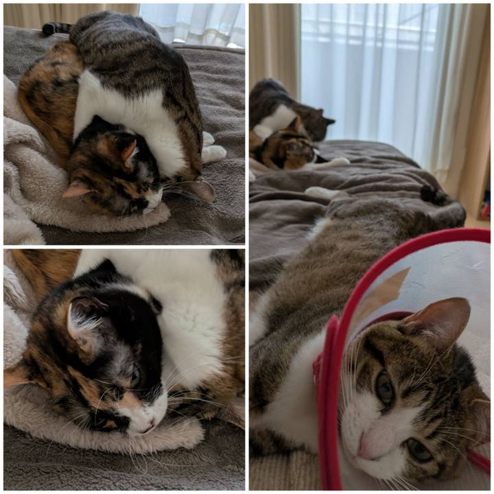 85926a84 8168 4213 9ce8 44b9005f4e52 1751498220528