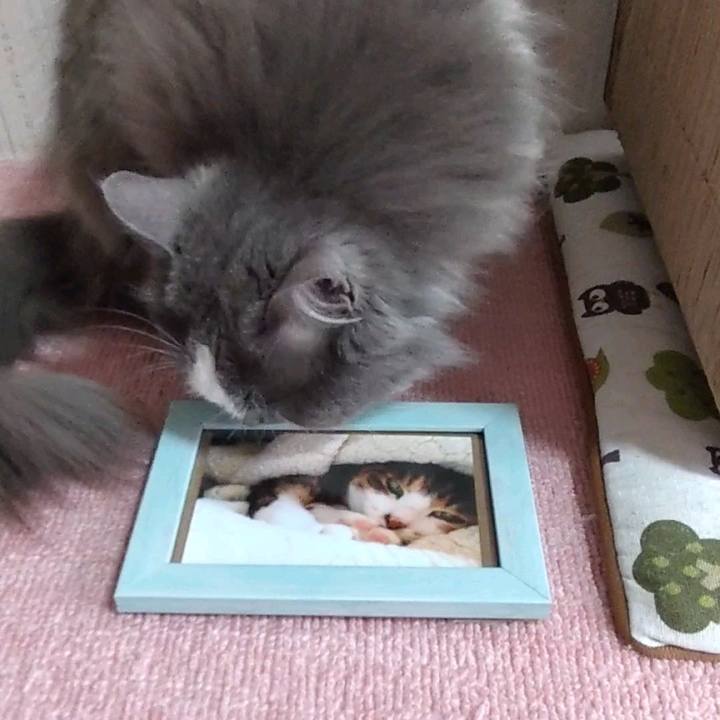 85929f79 bc5c 4ea1 b32d 87d6b3ab5156 1650520317071