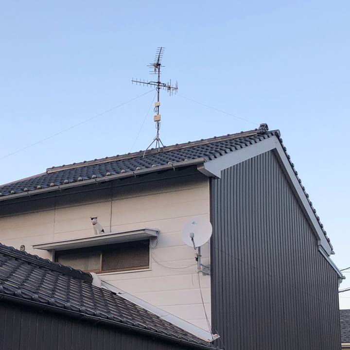 8592a107 9447 4800 a870 dbfd138fca80 1633513886952