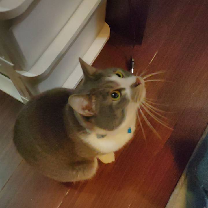 8592e8dd b21c 4281 85b5 40c0c2c042b2 1677189729172