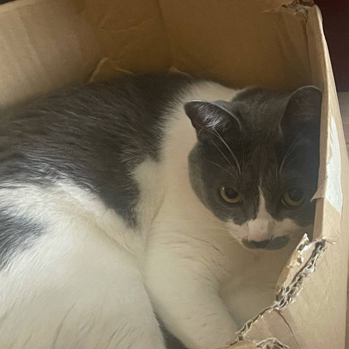 8592ea2e b5e3 4ba8 b1fe 52c7229faa1a 1629590098013