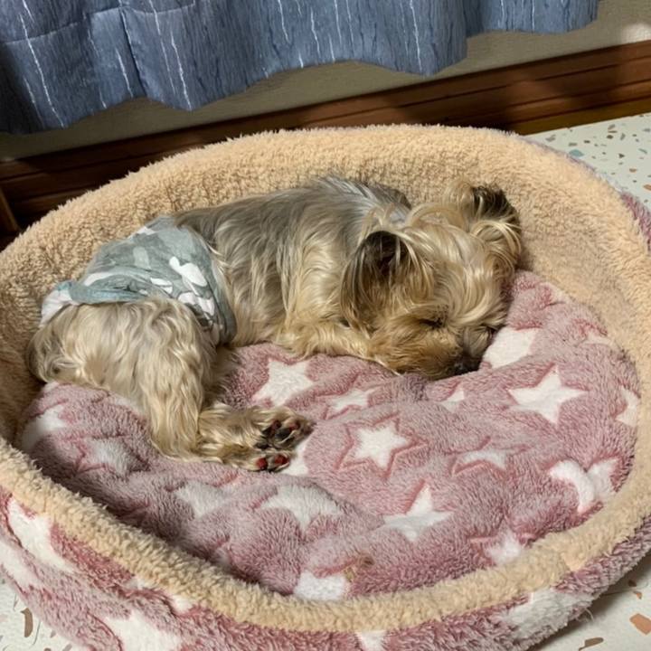 8593176b 9f3d 42a2 a1a1 54c2e834e1d0 1666433509868