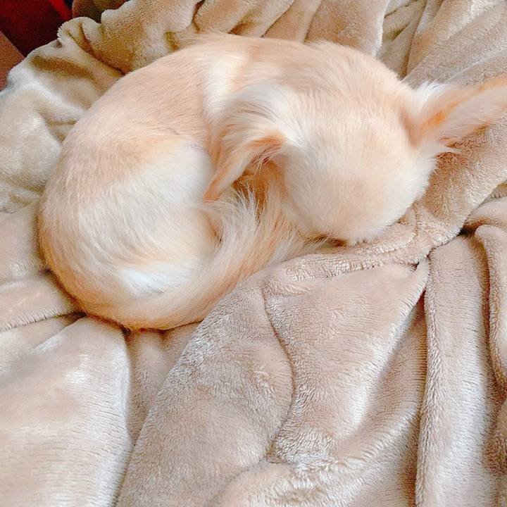 85932bfc d9a3 4501 82e1 7637d8174ff7 1630895323062