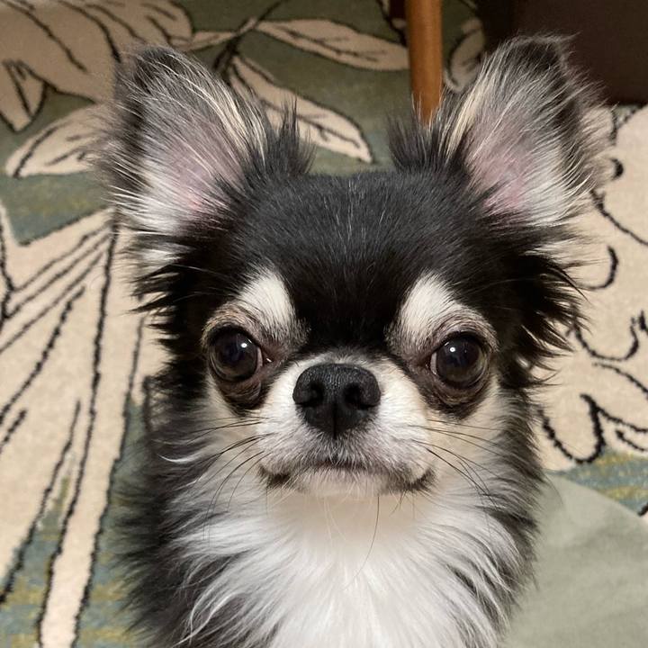 85932f6e 93bf 491a 8f0e 962bdb5d0181 1622381673915