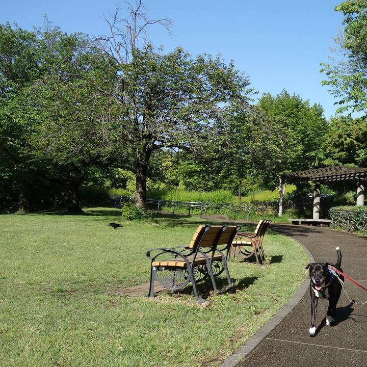 859339c6 76f9 41e1 8dc3 3676c813e7b9 1746579025193