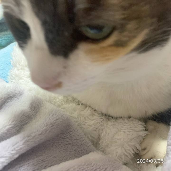 85934021 8011 4ef2 82d0 020d8f363d6a 1709643547958