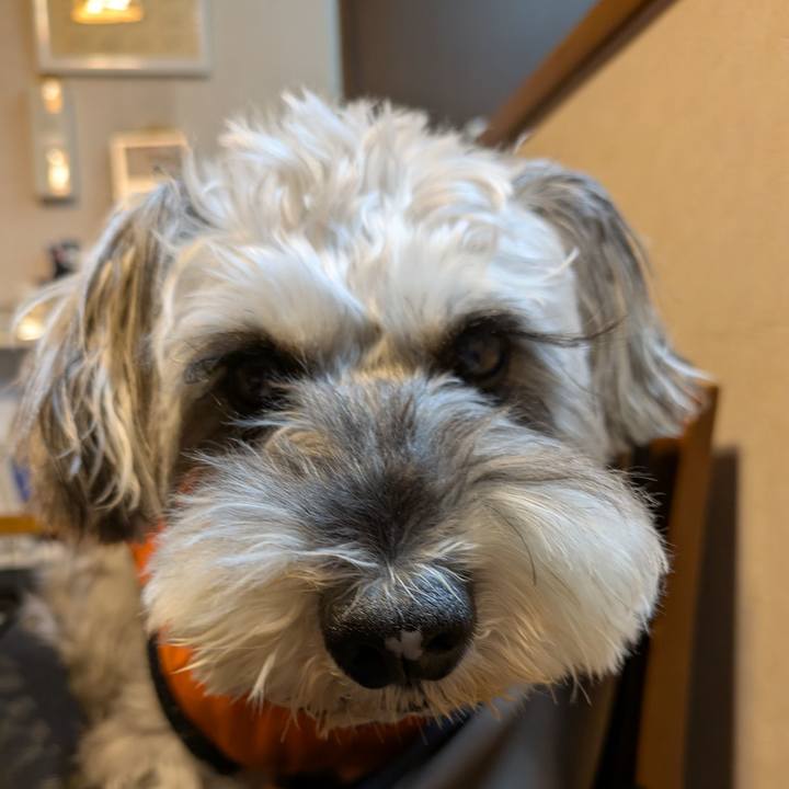 85936eb9 77c1 4ed5 bc48 a5415da6ffdb 1761574703435