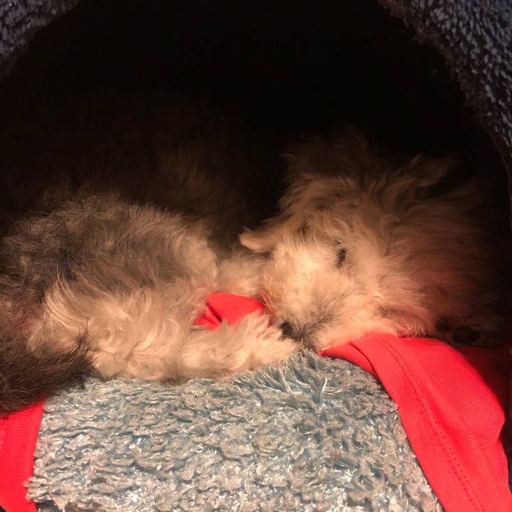 859387ea c7c2 4919 a020 42605138a036 1664202889680