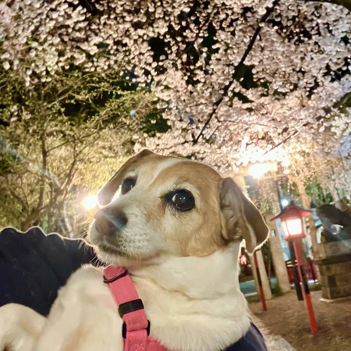 8593a516 c241 4612 9a3d 6ae18b79616c 1712491434530