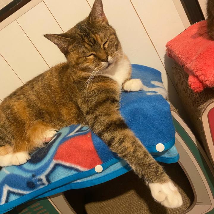 8593d96f 3412 422c 894b ca00f215dc12 1637504200303