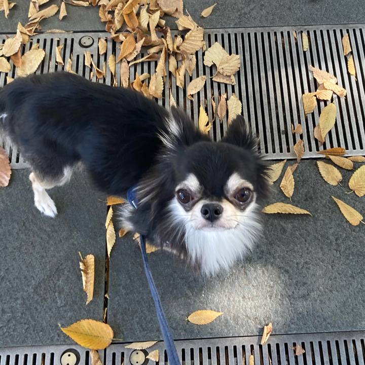 8593e755 70da 4af2 9f41 68f57de849f2 1635910583458