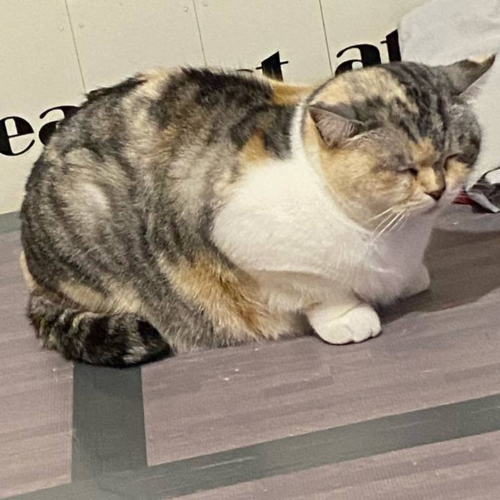 8593f414 be8a 4a29 9d2a 735a308559c6 1647254525863